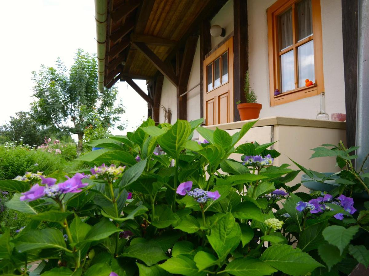 Selanka Off Road Hill View Hotel Moravske Lieskove Екстериор снимка