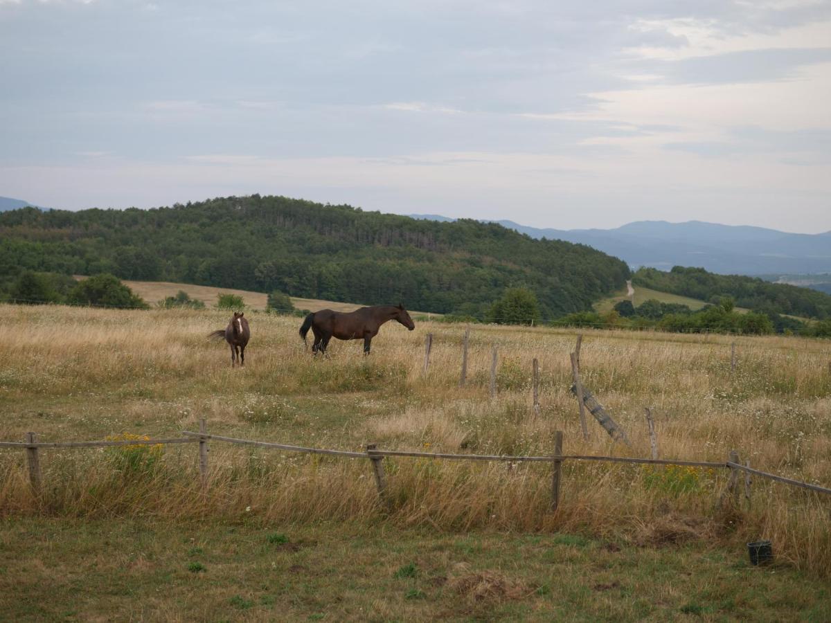 Selanka Off Road Hill View Hotel Moravske Lieskove Екстериор снимка
